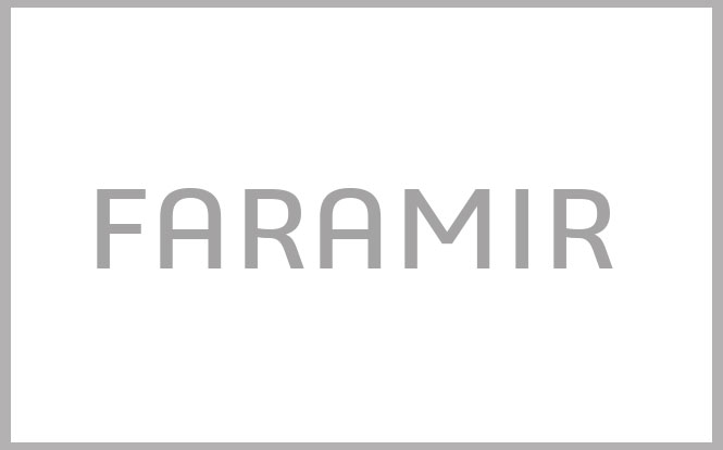 Projet de développement FARAMIR