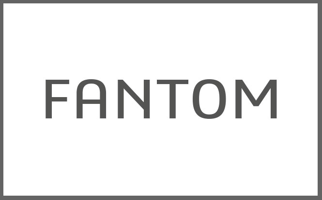 Projet de développement Fantom